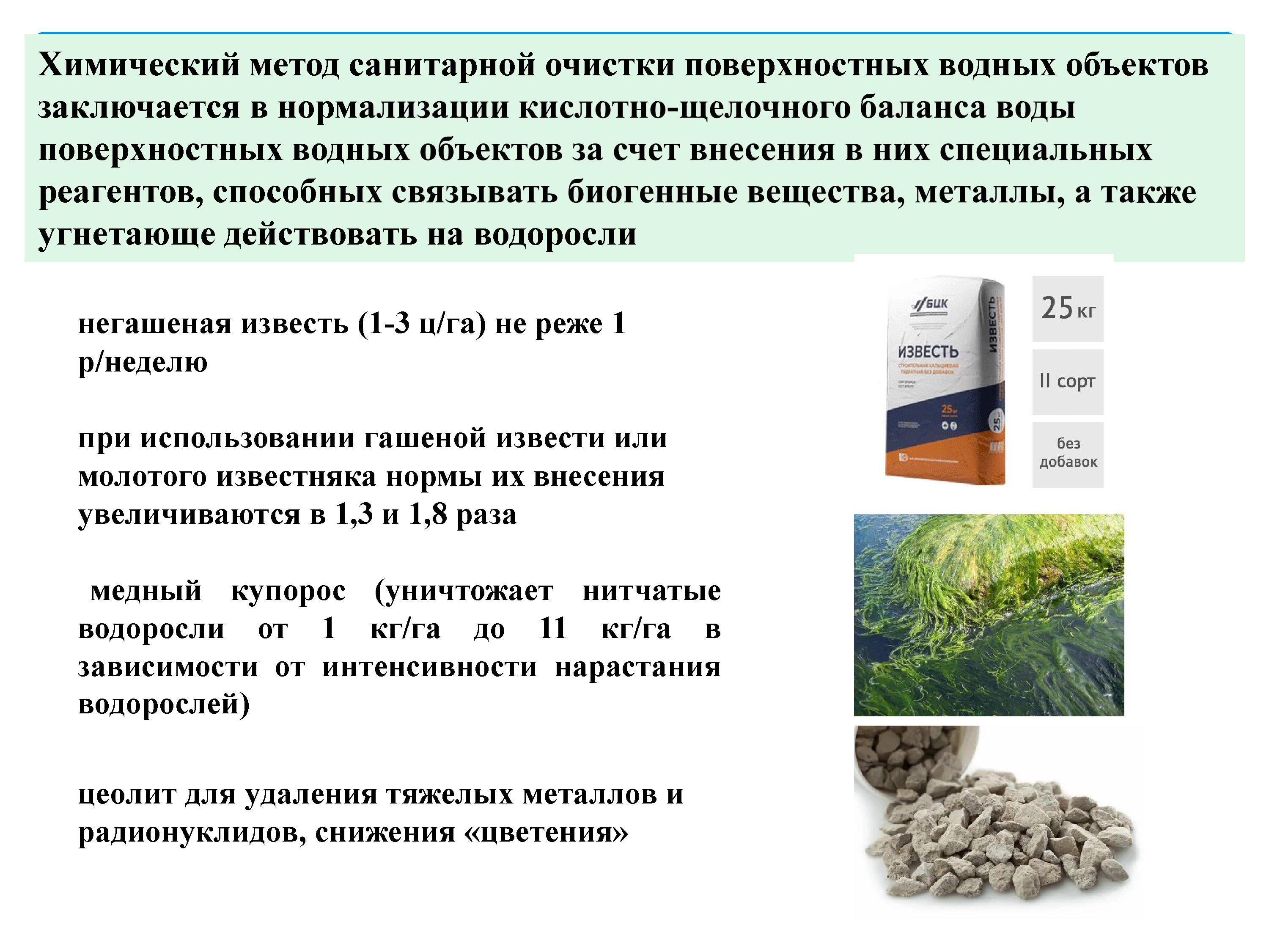 2393_-_0017.jpg