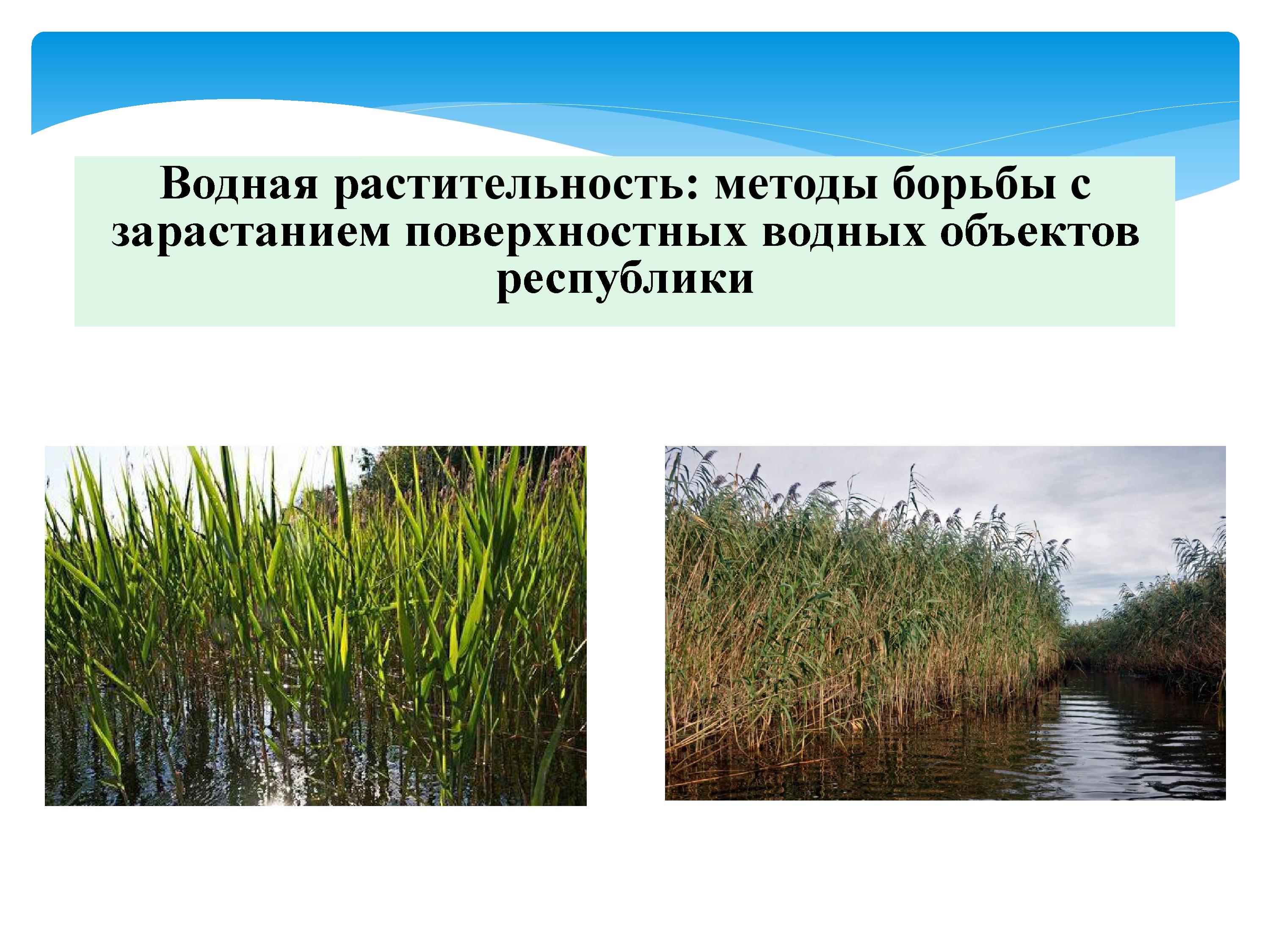 2393_-_0030.jpg