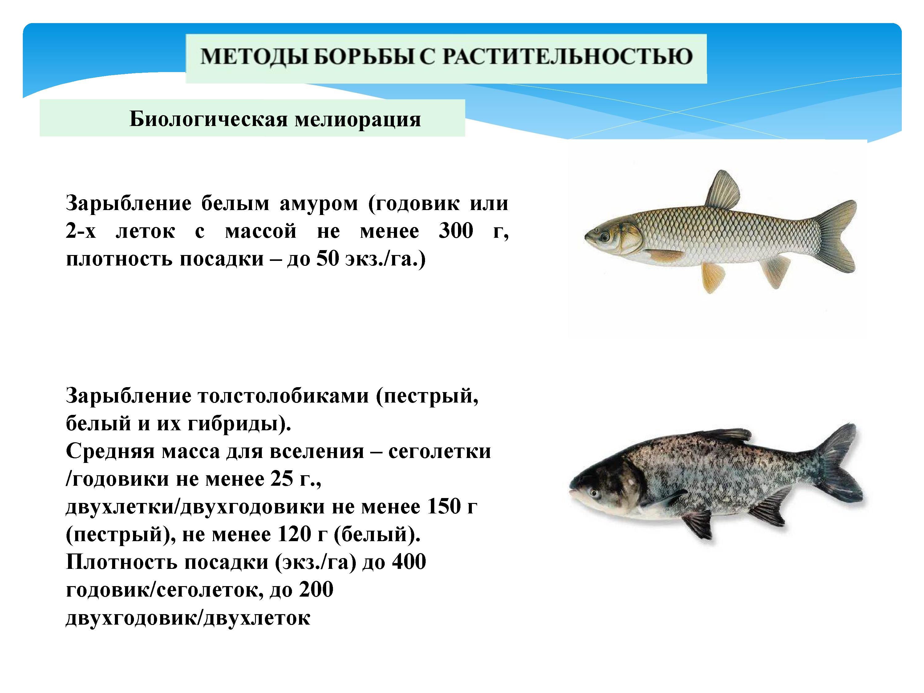 2393_-_0046.jpg