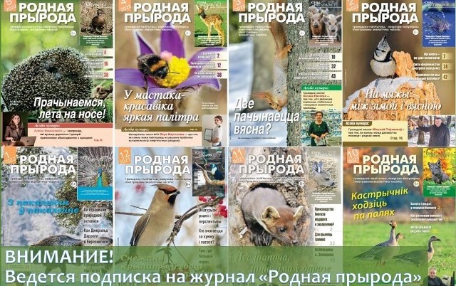 000075 544691 big