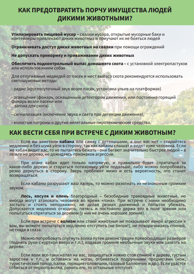 pamjatka 2