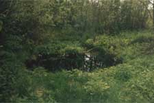 безд