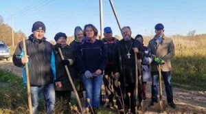 О ПОСАДКЕ ДЕРЕВЬЕВ
