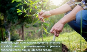 АКЦИЯ &quot;ДЕРЕВО ГЕРОЯ&quot;