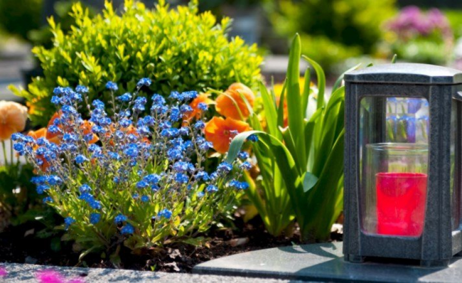 ЖИВАЯ ПАМЯТЬ-ЖИВЫЕ ЦВЕТЫ!