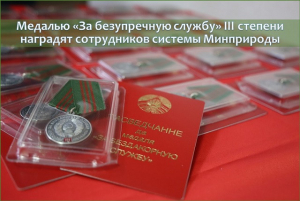 Медалью «За безупречную службу» III степени наградят сотрудников системы Минприроды