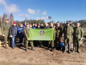 Участие в акции по восстановлению лесов