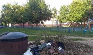 О НАРУШЕНИЯХ ПРИРОДООХРАННОГО ЗАКОНОДАТЕЛЬСТВА