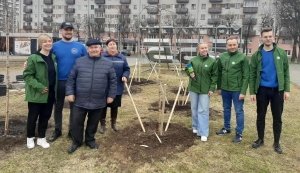 Новая аллея появилась сегодня в Могилеве