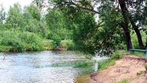 ГЛУССКИЙ РАЙОН - КУРС НА ЗАЩИТУ ПРИРОДЫ