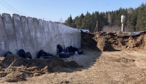 О нарушениях природоохранного законодательства