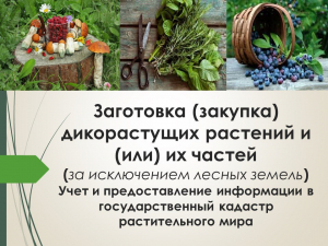 О заготовке (закупке) дикорастущих растений и(или) их частей