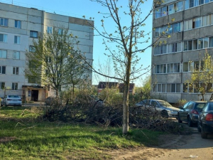 О контроле за соблюдением природоохранного законодательства