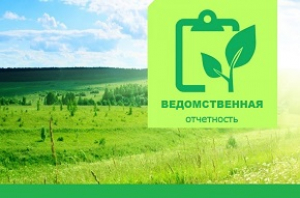Утверждены формы ведомственной отчетности на 2025 год