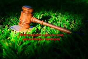 Информация о типичных нарушениях, выявляемых в ходе проверок