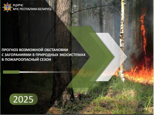 Прогноз возможной обстановки с возгораниями в природных экосистемах в пожароопасный период