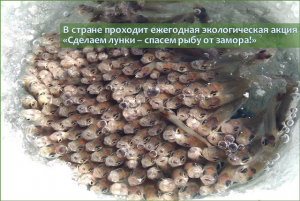Ежегодная экологическая акция «Сделаем лунки – спасем рыбу от замора!»