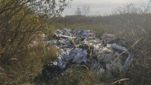 О НАРУШЕНИЯХ ПРИРОДООХРАННОГО ЗАКОНОДАТЕЛЬСТВА