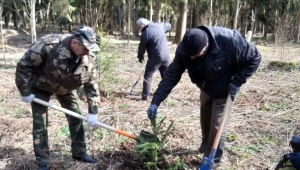 ПРИВЕДИ В ПОРЯДОК СВОЮ ПЛАНЕТУ