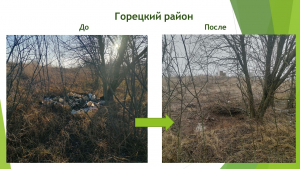 О контроле за соблюдением природоохранного законодательства