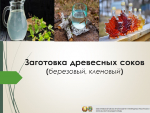 О заготовке древесных соков