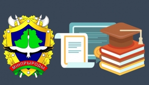 Утверждены регламенты административных процедур в сфере охраны атмосферного воздуха