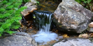 VI МЕЖДУНАРОДНЫЙ ВОДНЫЙ ФОРУМ «РОДНИКИ БЕЛАРУСИ»