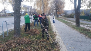 Об участии в городском субботнике