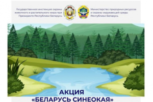 &laquo;Беларусь синеокая&raquo;: Чистота начинается с тебя