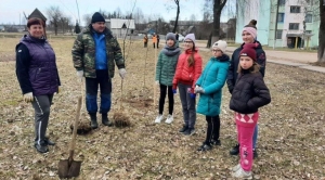 АКЦИЯ ПО ПОСАДКЕ ДЕРЕВЬЕВ