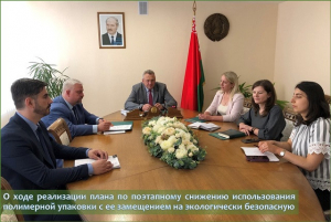 О ходе реализации плана по поэтапному снижению использования полимерной упаковки с ее замещением на экологически безопасную
