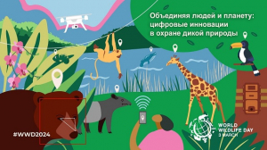 В 2024 году Всемирный день дикой природы будет отмечаться 3 марта под лозунгом «Соединяя людей и планету: изучение цифровых инноваций в охране дикой природы»!