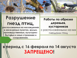 Разрушение гнезд птиц запрещено в период с 16 февраля по 14 августа