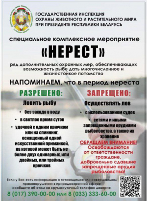 Специальное комплексное мероприятия &laquo;Нерест&raquo;.