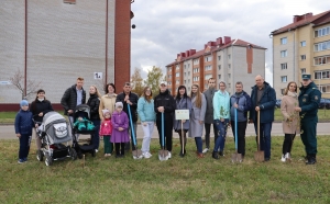 Семейную аллею заложили в г.Белыничи