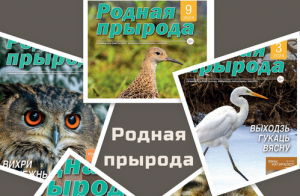 Продолжается подписка на журнал &laquo;Родная прырода&raquo; на второй квартал 2026 года.
