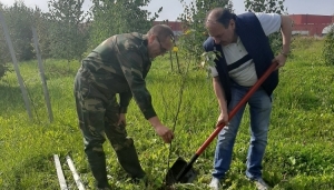 АКЦИЯ &quot;ПОСАДИ ДЕРЕВО&quot;